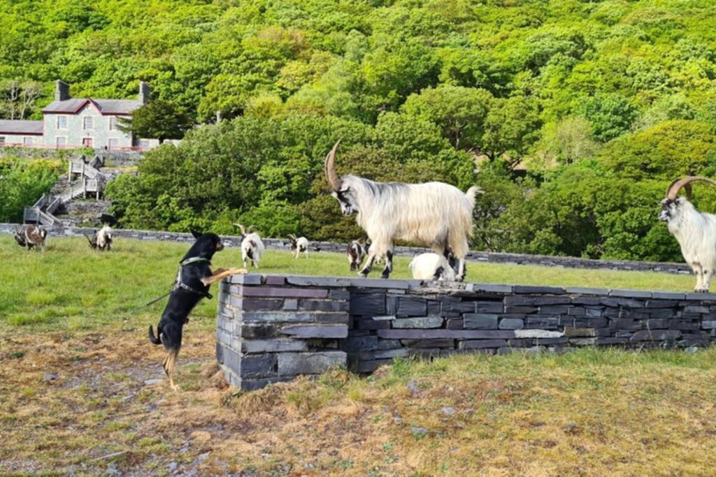 Willa Minafon Llanberis Zewnętrze zdjęcie